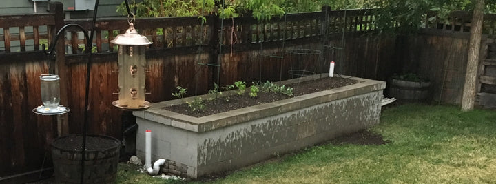 Self Watering Raised Bed Garden